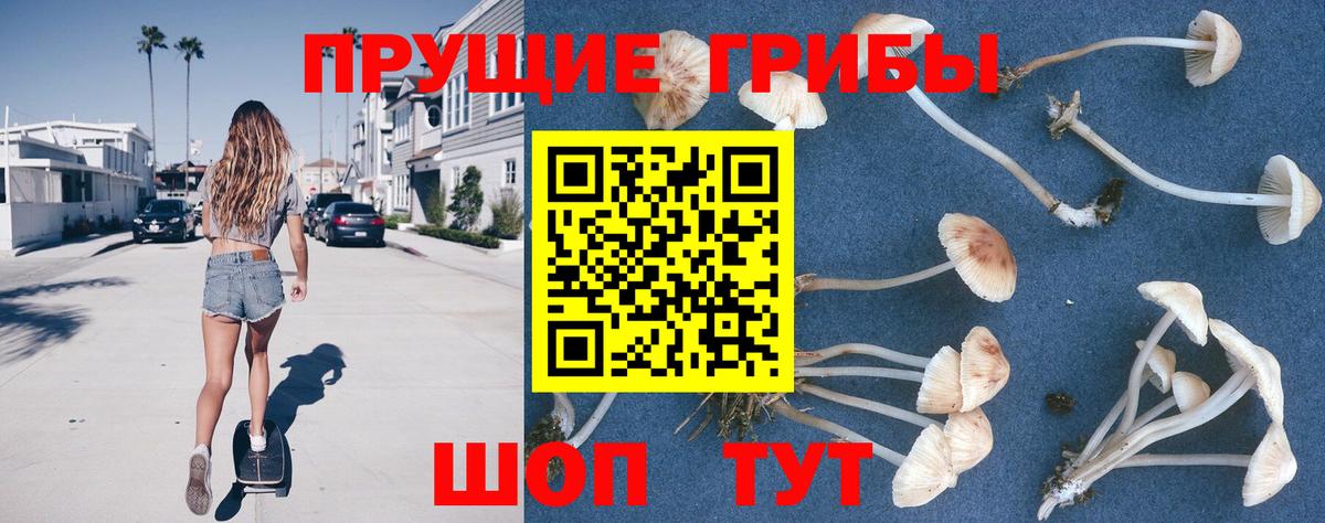 Псилоцибиновые грибы прущие грибы Соликамск
